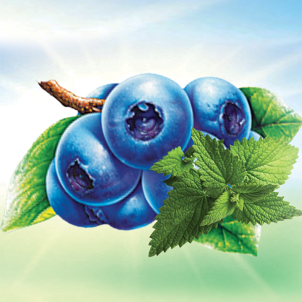 Adalya Blueberry Mint