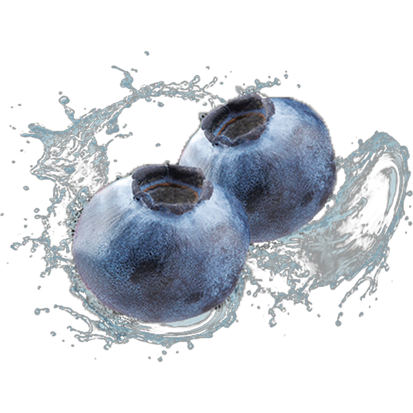 معسل أداليا بنكهة التوت الأزرق