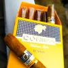 cohiba cigar 10 short