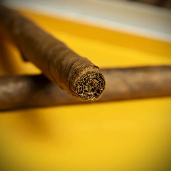 Cohiba-Mini-20.webp Cohiba Mini 20